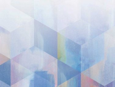 Custom Hexagon colour edit 700x685 1