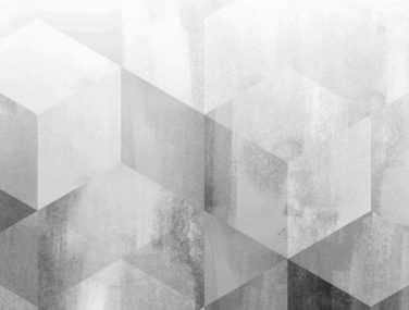 Custom Hexagon grayscale 700x685 1