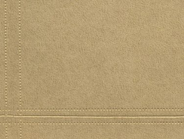 Newmor Cassidy swatch 4509 CY 1