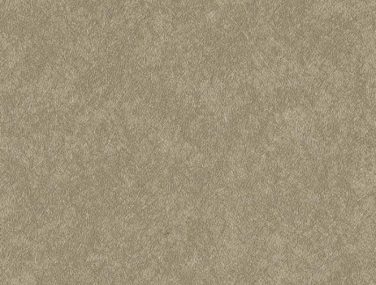 Newmor Zenith15.604 700x685 1