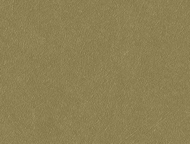 Newmor Zenith15.607 1 700x685 1