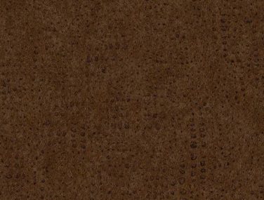 Newmor Zenith15.706 700x685 1