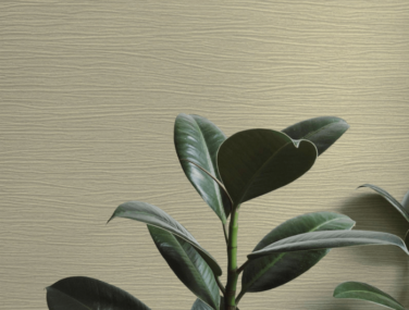 Screenshot 2023 02 15 at 15.53.59 700x700