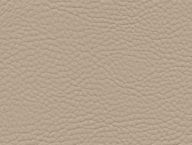 Skai Neptun Pescara birch F6494087 1