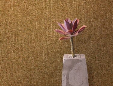 Tela II New Gold 700x700 1