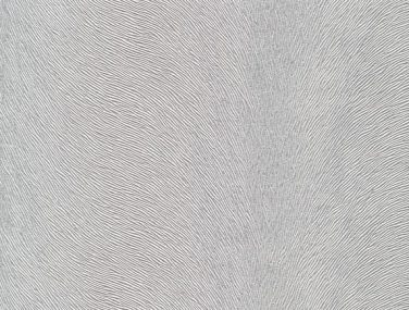 csm F5076028 e6e2573e0d