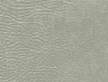 csm F6411233 af99e58709