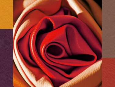 csm K3921100 418d5a75d5