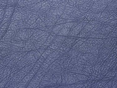 Skai Evida sk_F6800025