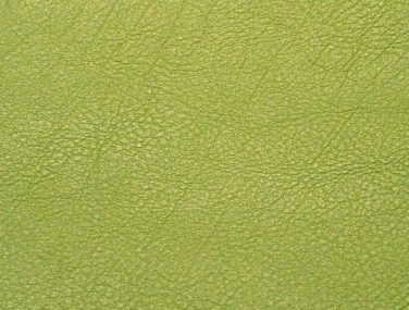 Skai Evida sk_F6800027