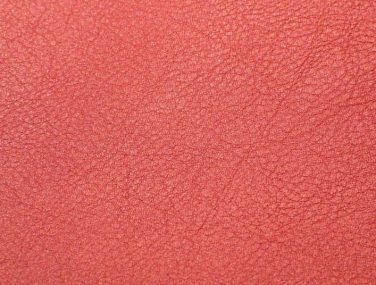 Skai Evida sk_F6800028