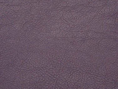 Skai Evida sk_F6800029