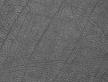 Skai Evida sk_F6800031