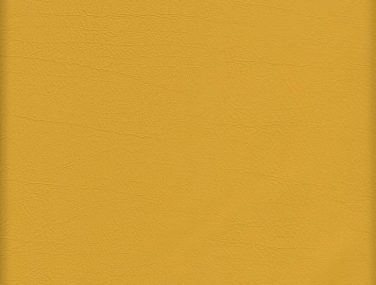 Skai Evida sk_F6800045