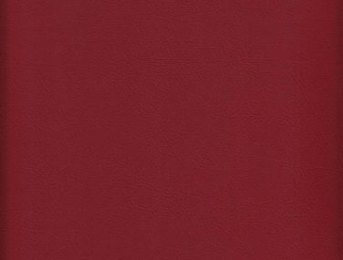 Skai Evida sk_F6800047