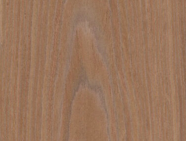 wow 2 214 Walnut Flat Cut (1)