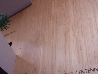 wow 1 proj perfart 2