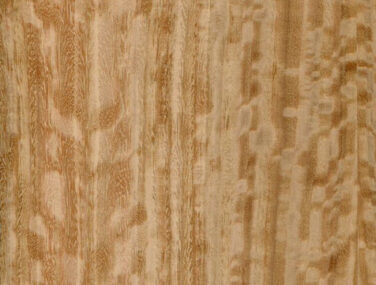 wow 2 Eucalyptus Quart Fig