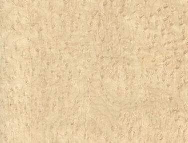 wow 2 Maple Birdseye Hvy Ey