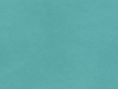 Skai Palma amazonas F6410926