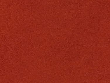 Skai Palma lachs F6410711