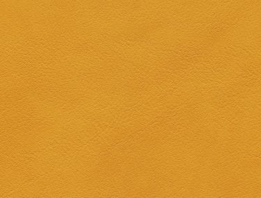 Skai Palma mango F6411060