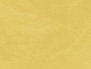 Skai Palma mimosa F6410983