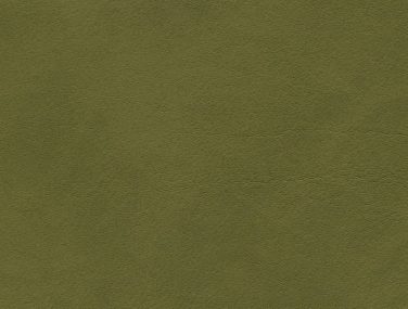 Skai Palma taiga F6410715