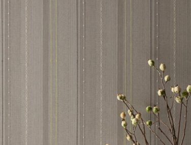 Switch Embroider - Xorel