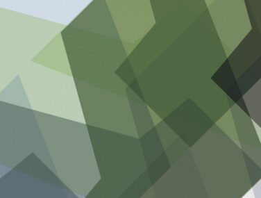 Argyle Muted 700x685