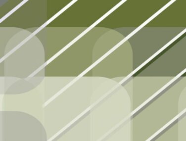 Snowden Olive 1 700x685