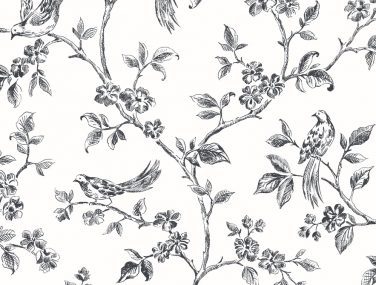 Shades of Grey - Advantage Collection