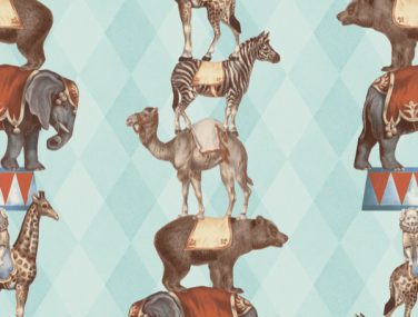 Discovery Barnum LIGHT TEAL DYW0004