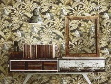 Discovery INDIAN MONKEY