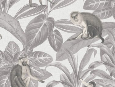 Discovery INDIAN MONKEY DUSK GREY DYW0007