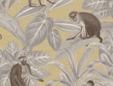 Discovery Indian Monkey Emperor Yellow DYW0008