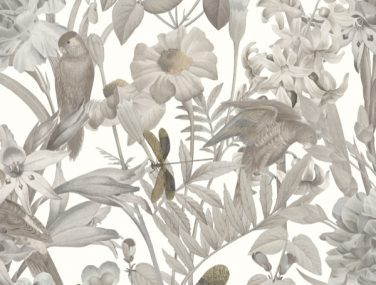 Discovery Paradise Smoke Grey DYW0022