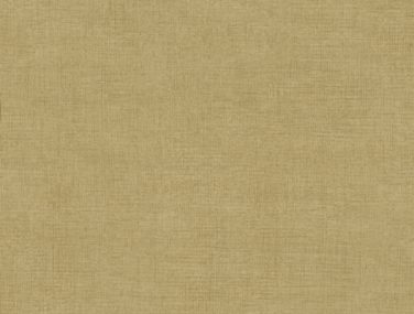 Discovery Versailles RICH GOLD DYW0032