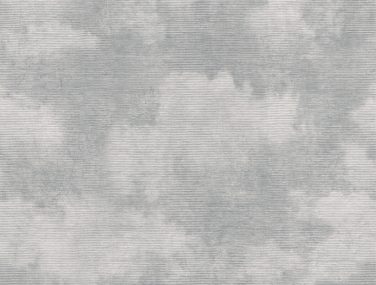 smlNIRVANA SK123 BLUEBIRD DYW0016 1200x1200 1