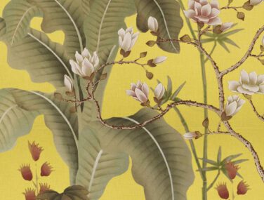 Collezione Esperanto 2