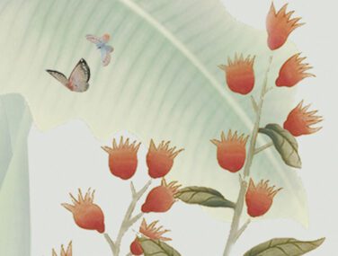 Collezione Esperanto 3