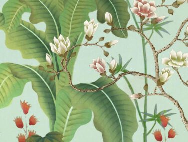 Collezione Esperanto