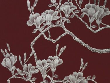 Collezione Winter Magnolia