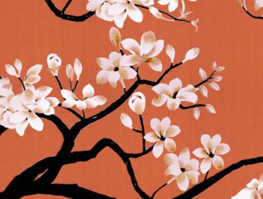 Magnolia Tree 2