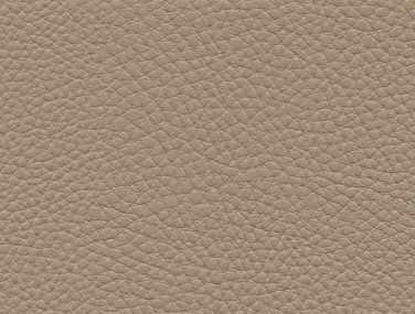 Skai Kimera birch F6424002