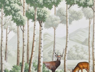 The Amber Route Collection • Misha