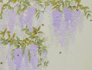 Wisteria 1