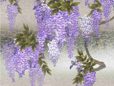 Wisteria 2