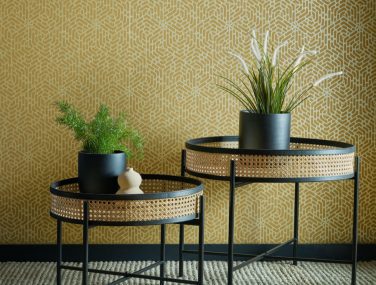 1838 2008 148 03 Willow Honey