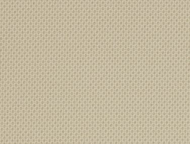 Gabriel Contour 61138